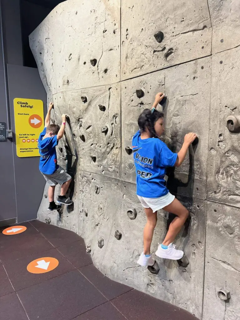 Kids Summer Camp Forest Hills