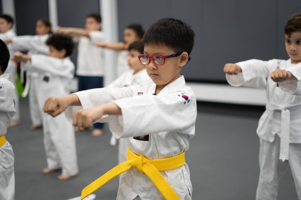 preschool Taekwondo classes in Rego Park