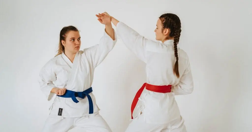 Adult martial arts students practicing partner techniques during beginner martial arts training for adults
